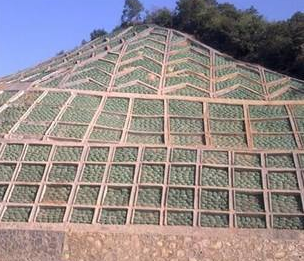 護坡錨桿施工需要多少錢一平方？